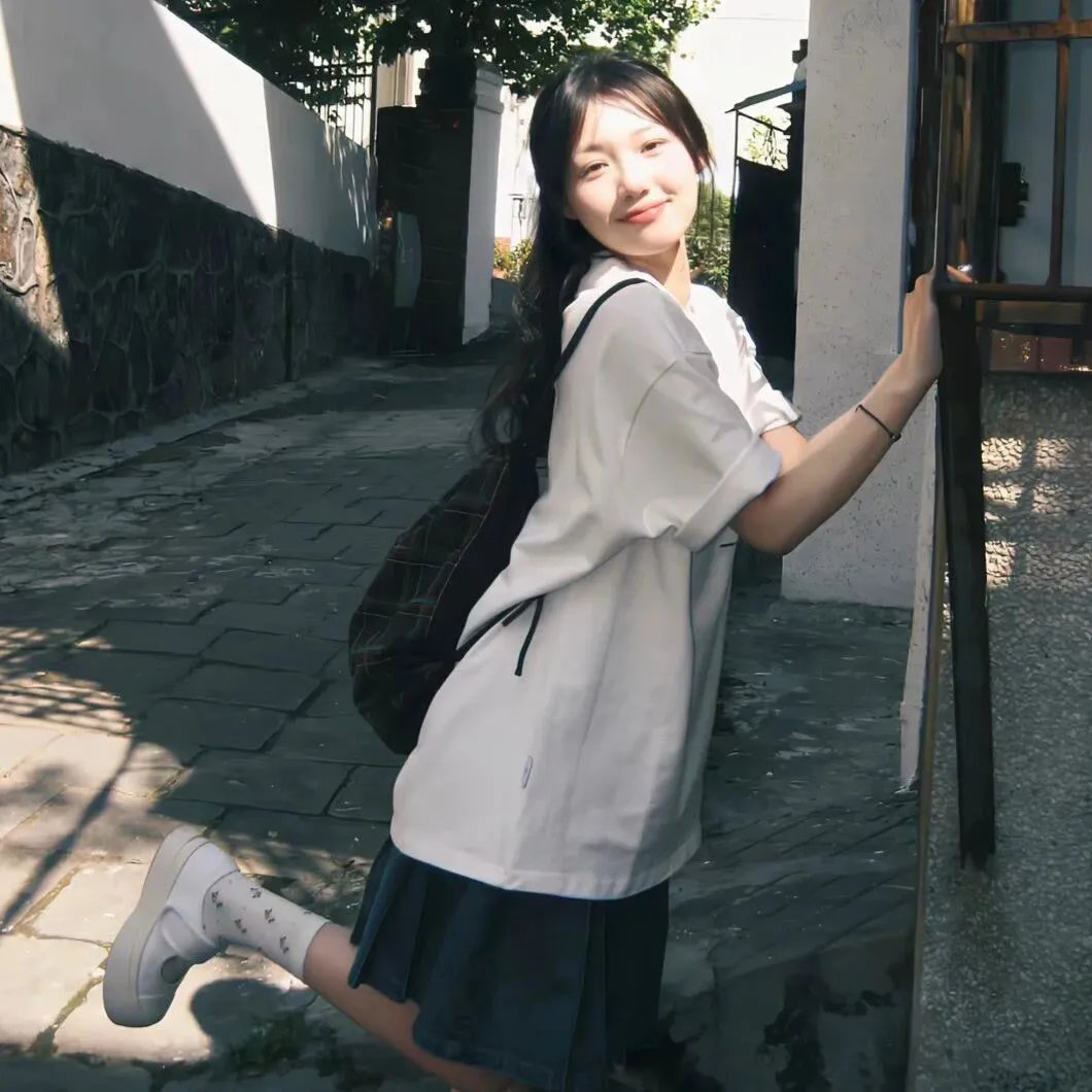 方案
